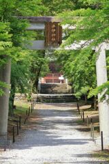 新緑の季節－井伊神社