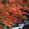 大滝神社の紅葉5