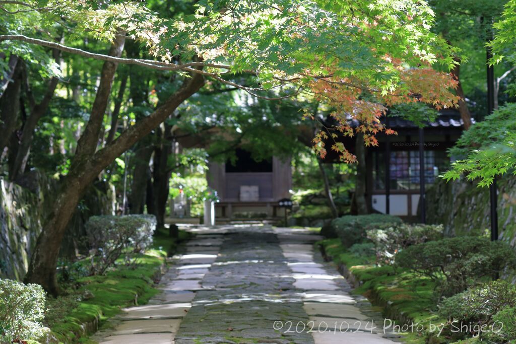 湖東三山　金剛輪寺