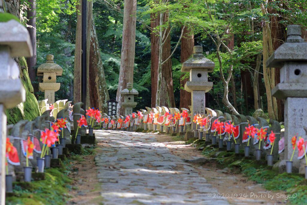 金剛輪寺参道のお地蔵さん