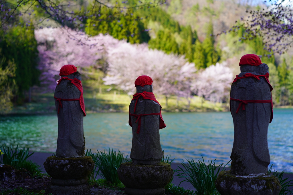 桜眺めるお地蔵様