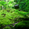 岩の向こう