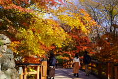 橋の上の休日