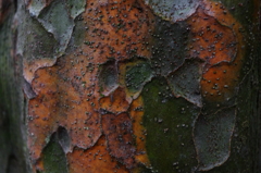 ki001