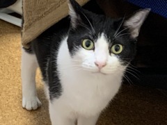 ひーなーたー？どこー？