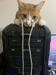 怒られた理由。
