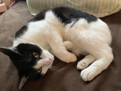 おにーちゃんのまねっこ。