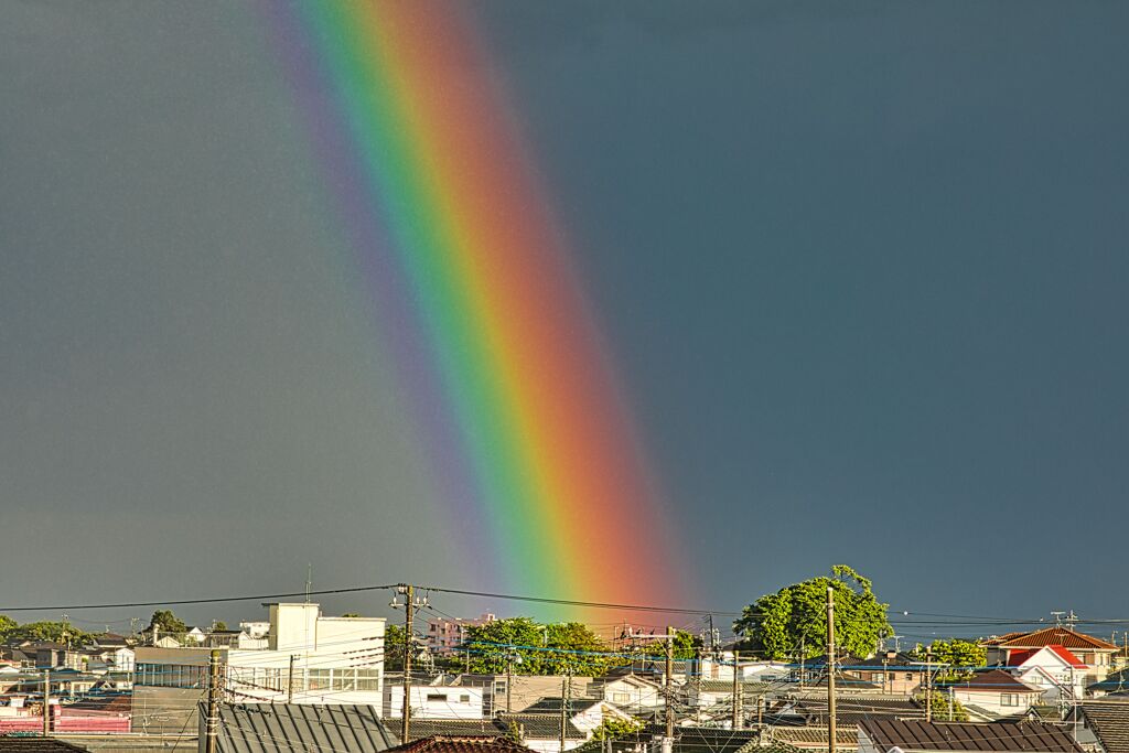 雨中の虹①