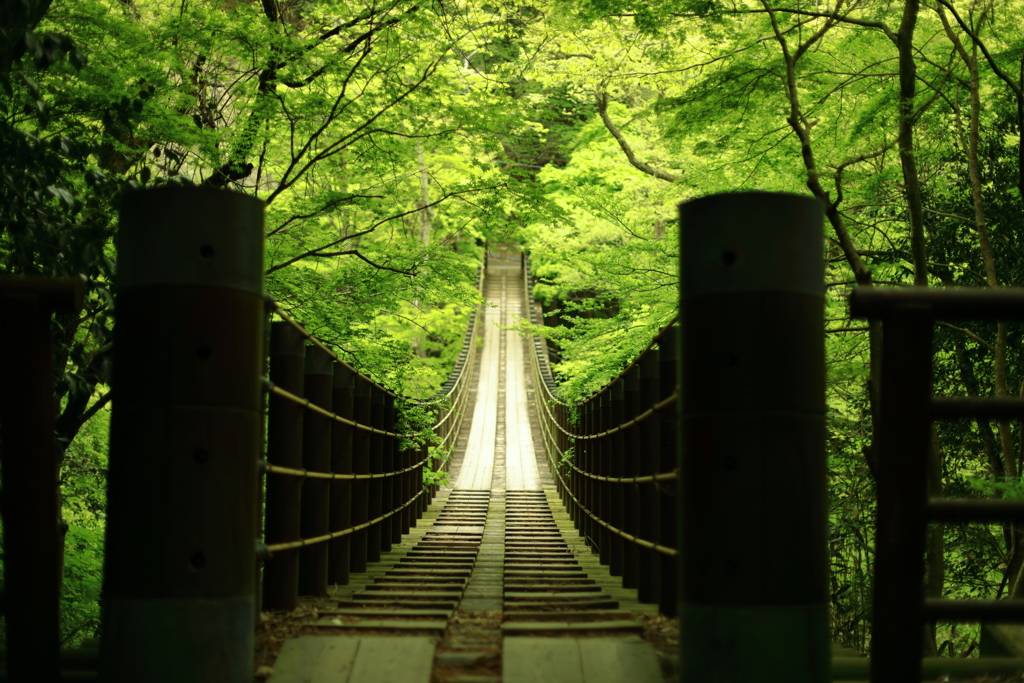 新緑 花貫渓谷 汐見滝吊り橋 21 04 28 By ｙｓｋｚ Id 写真共有サイト Photohito