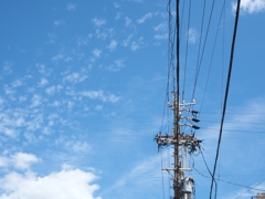 電線はいいぞ