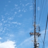 電線はいいぞ