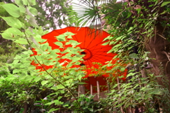 北鎌倉の赤い和傘