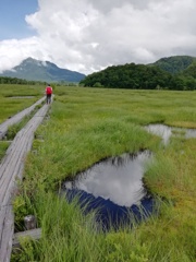 尾瀬ヶ原に映える池塘