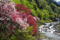 月川温泉　２