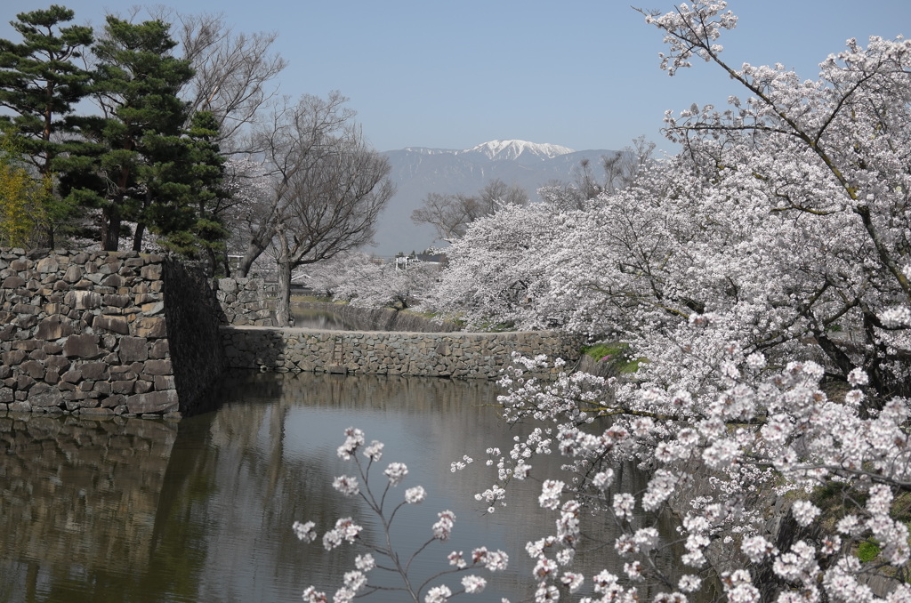 松本城