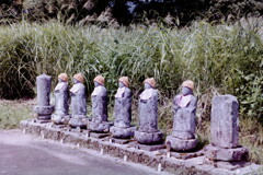 なべくら