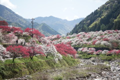 月川温泉　１