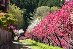 月川温泉　３