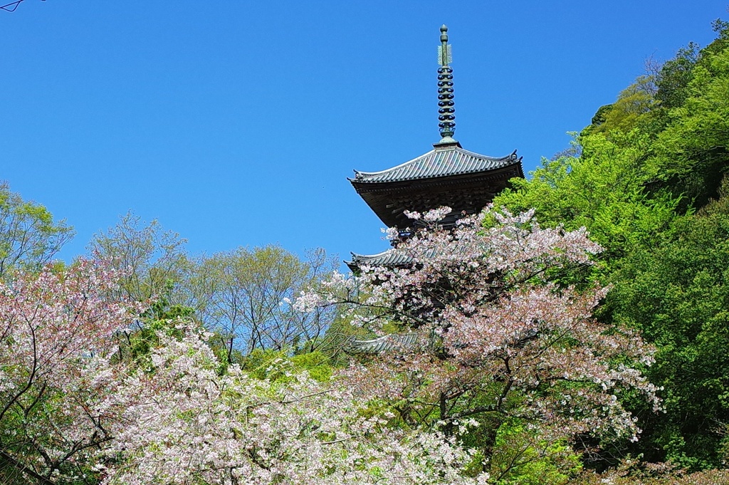 安来清水寺三重塔