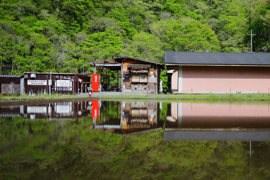 水田横に佇むカフェ