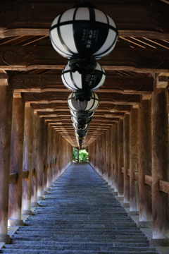 続く石段、長谷寺の登廊