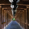 続く石段、長谷寺の登廊