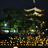 猿沢池の燈火越しにのぞむ興福寺五重塔