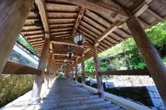 長谷寺の登廊を見上げる