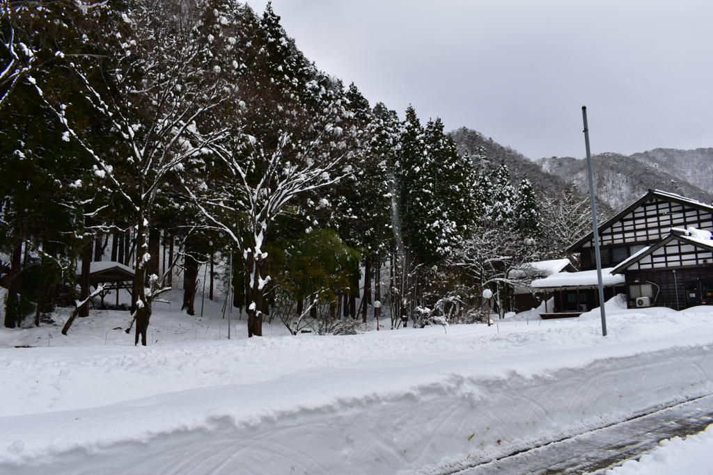 雪景２