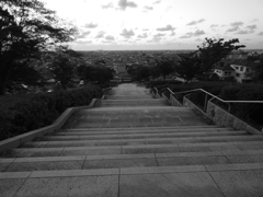 P1010921