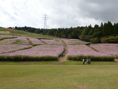 夢の平スキー場