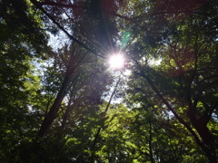 P1010809