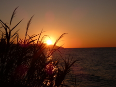 千枚田の夕日