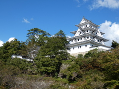 郡上八幡城