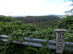 倶利伽羅古戦場