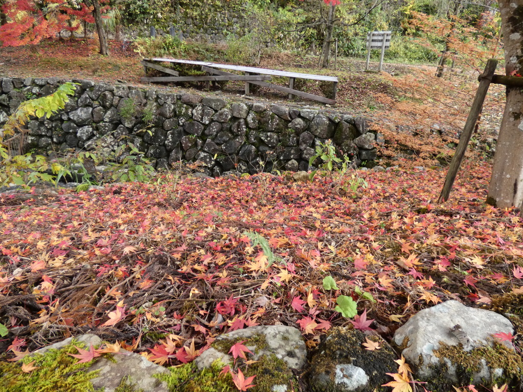 P1040537