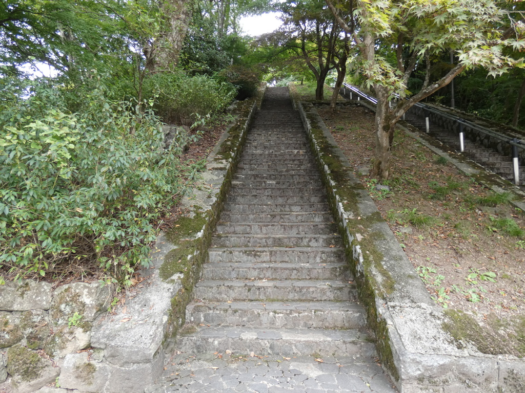 老体にはちとしんどい