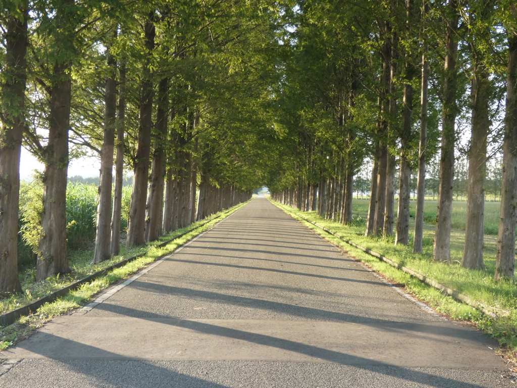 P1020003