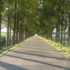 P1020003