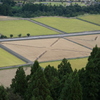 P1000121