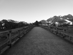P1010896