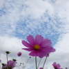 P1020404