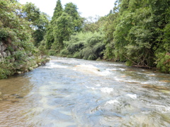 小松市　十二ケ滝