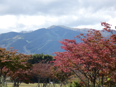 牧歌の里