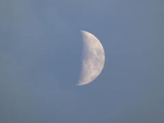 夕方 うろこ雲の隙間から