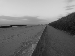 白山市のとある海岸