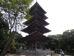 P1000761