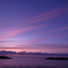 P1010595