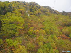 長野ツーリングの一コマ - 駒ヶ岳ロープウェイから見た紅葉