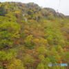 長野ツーリングの一コマ - 駒ヶ岳ロープウェイから見た紅葉